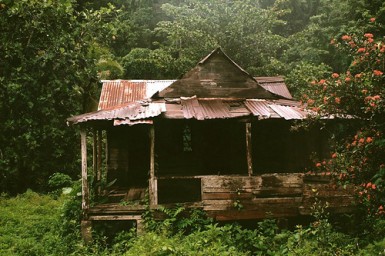 jungle shack